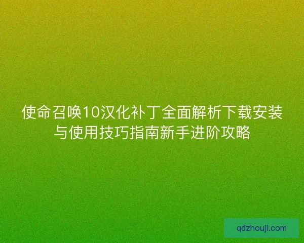 使命召唤10汉化补丁全面解析下载安装与使用技巧指南新手进阶攻略