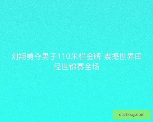 刘翔勇夺男子110米栏金牌 震撼世界田径世锦赛全场 刘翔勇夺男子110米栏金牌 震撼世界田径世锦赛全场