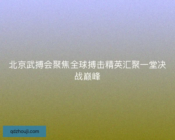 北京武搏会聚焦全球搏击精英汇聚一堂决战巅峰
