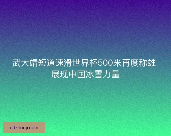 武大靖短道速滑世界杯500米再度称雄 展现中国冰雪力量